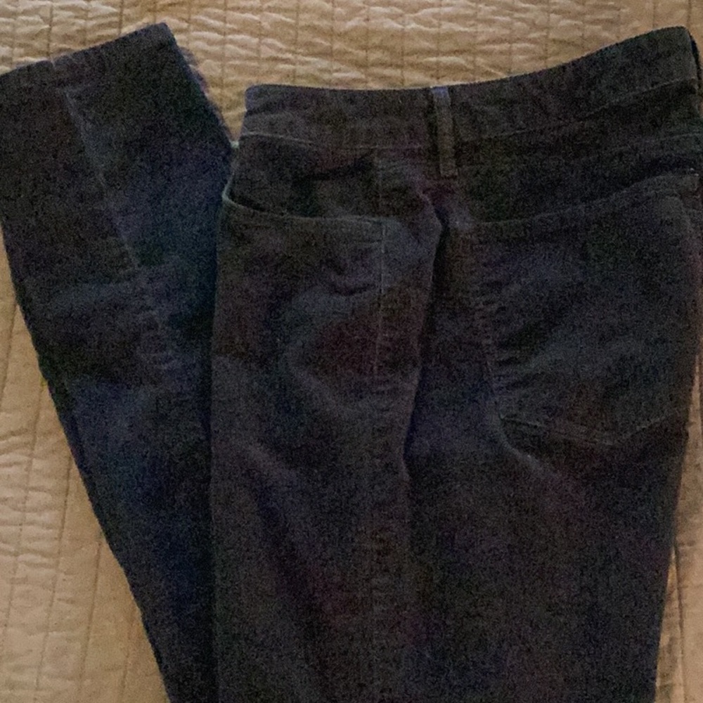 Jeans by Loft